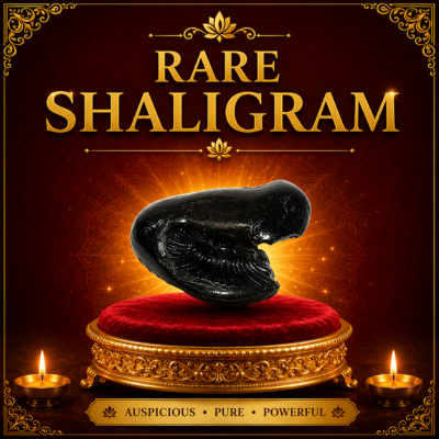 Rare Shaligram